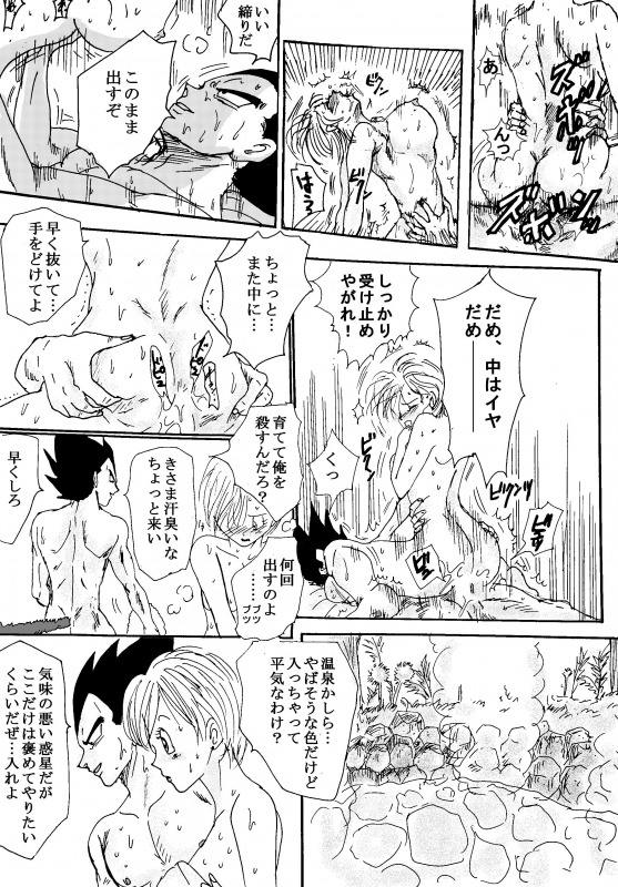 [苺飴] TO SHARE ONE´S FATE 前編 (ドラゴンボールZ)