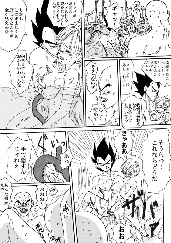 [苺飴] TO SHARE ONE´S FATE 前編 (ドラゴンボールZ)