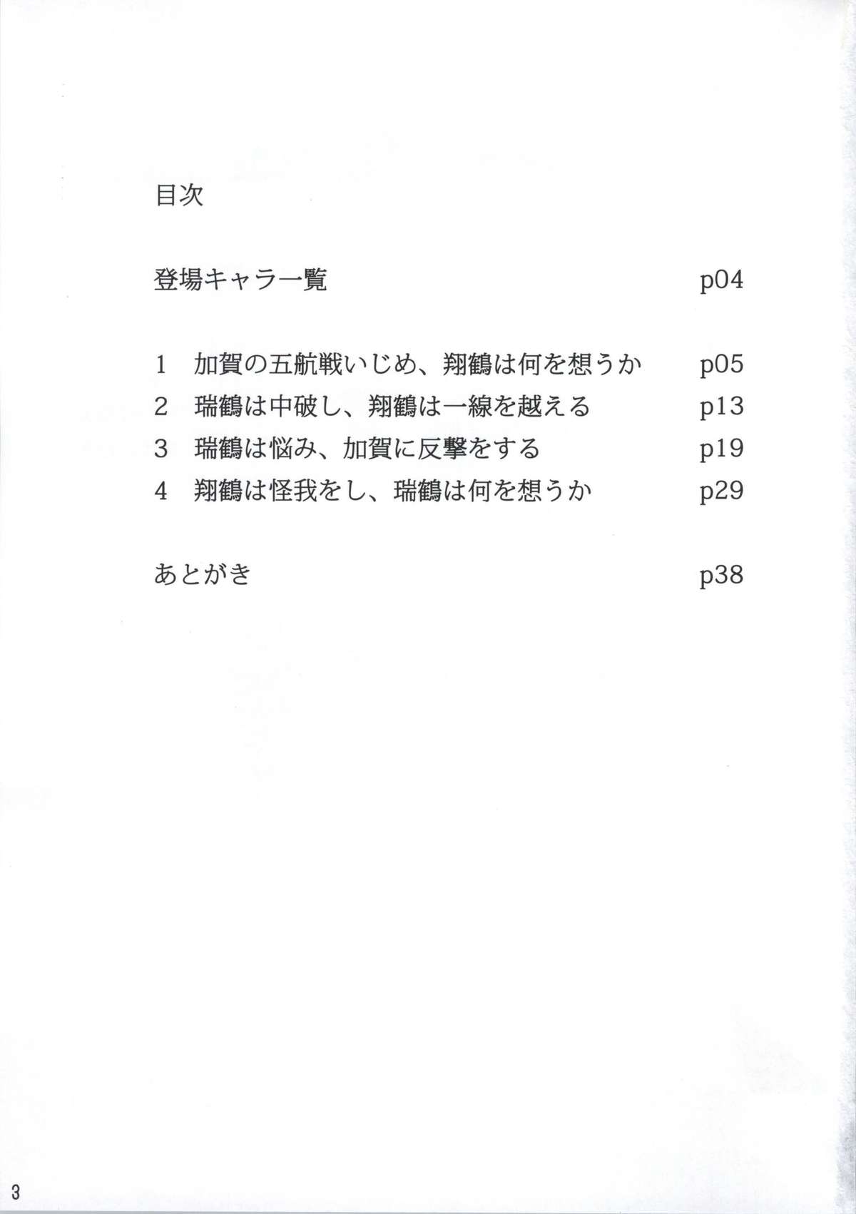 (我、夜戦に突入す!) [ifpark.com (ifpark)] 翔鶴と瑞鶴と (艦隊これくしょん -艦これ-)