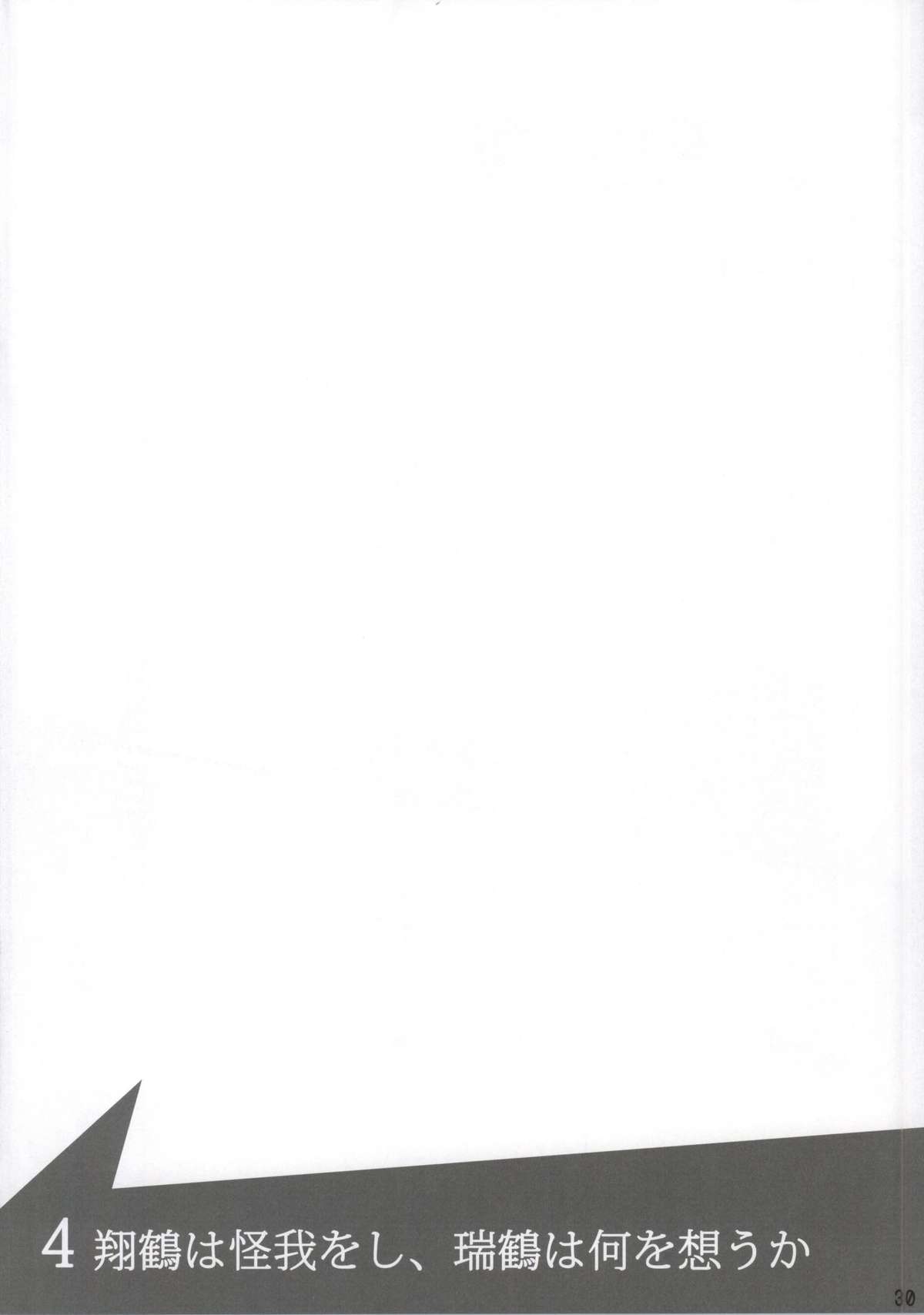 (我、夜戦に突入す!) [ifpark.com (ifpark)] 翔鶴と瑞鶴と (艦隊これくしょん -艦これ-)