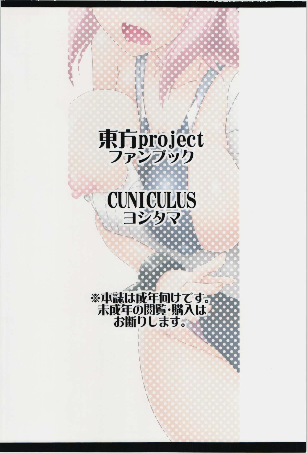 (紅楼夢10) [CUNICULUS (ヨシタマ)] 華の湯 (東方Project)