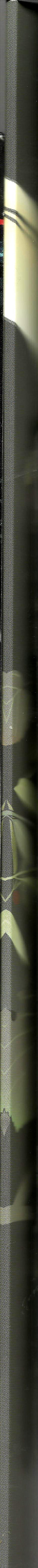 (C76) [蓮双魚 (橘颯希)] もう一度君に逢うために (NARUTO -ナルト-) [英訳]