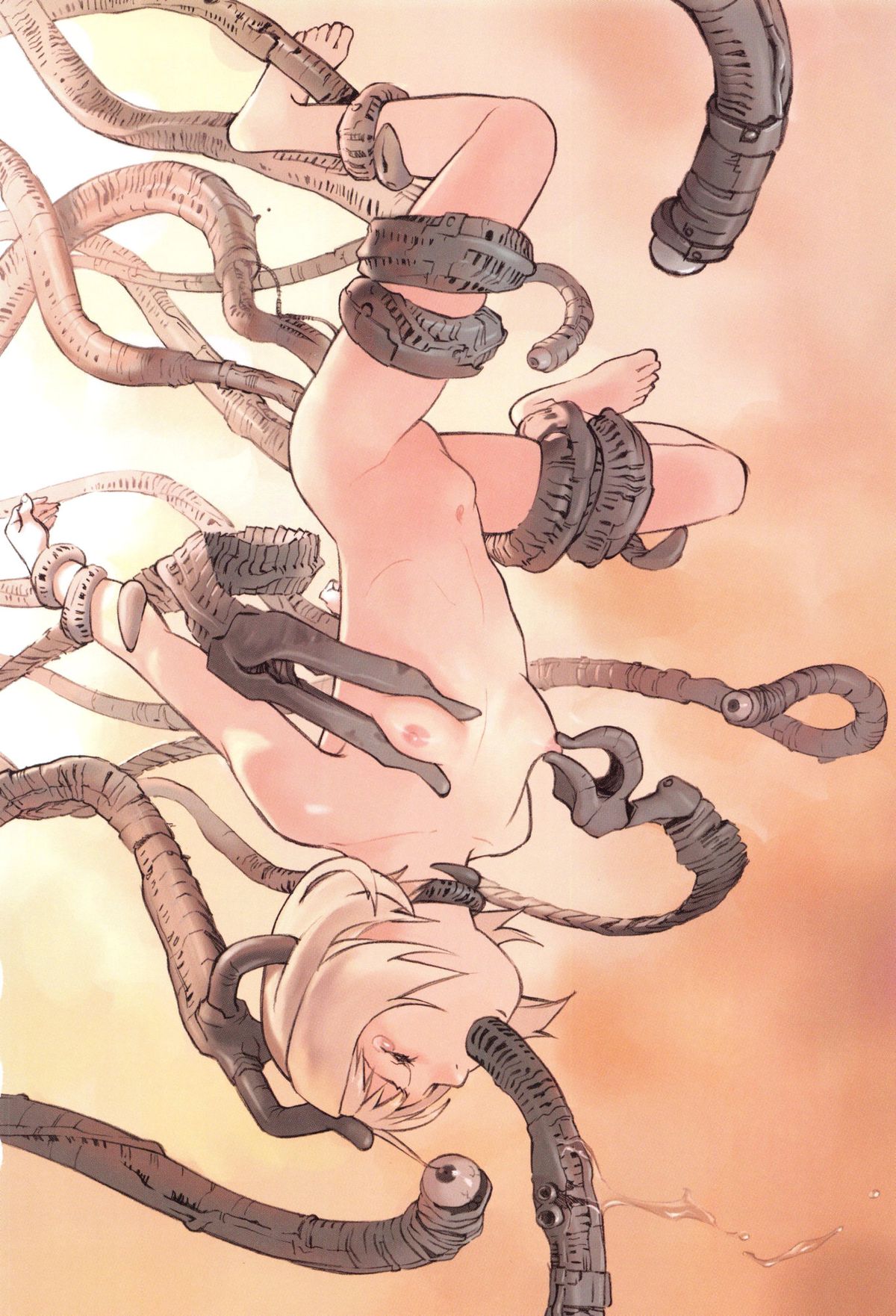 [花犬] 天使のノイズ