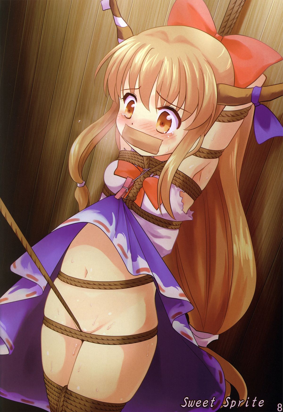 (例大祭11) [黒りりの部屋 (よろず)] 東方緊縛合同 幻想緊縛少女 (東方Project)