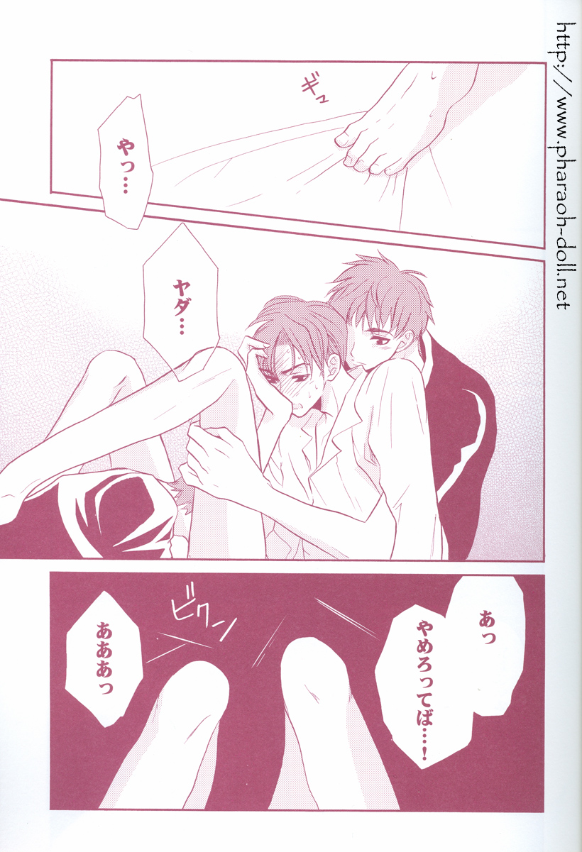 [はりぼて (穂高連)] 双子とお兄さん (ハリーポッター)