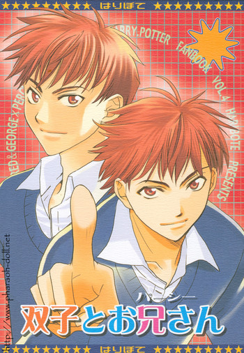 [はりぼて (穂高連)] 双子とお兄さん (ハリーポッター)