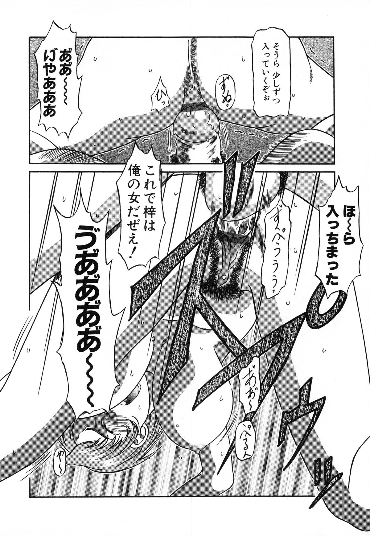 [銀星王] 美妹犯す