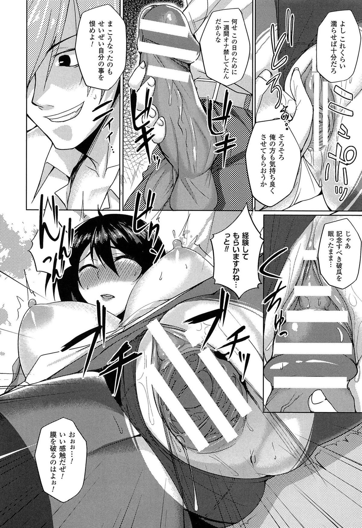 [武田あらのぶ] ヒメハメトリップ