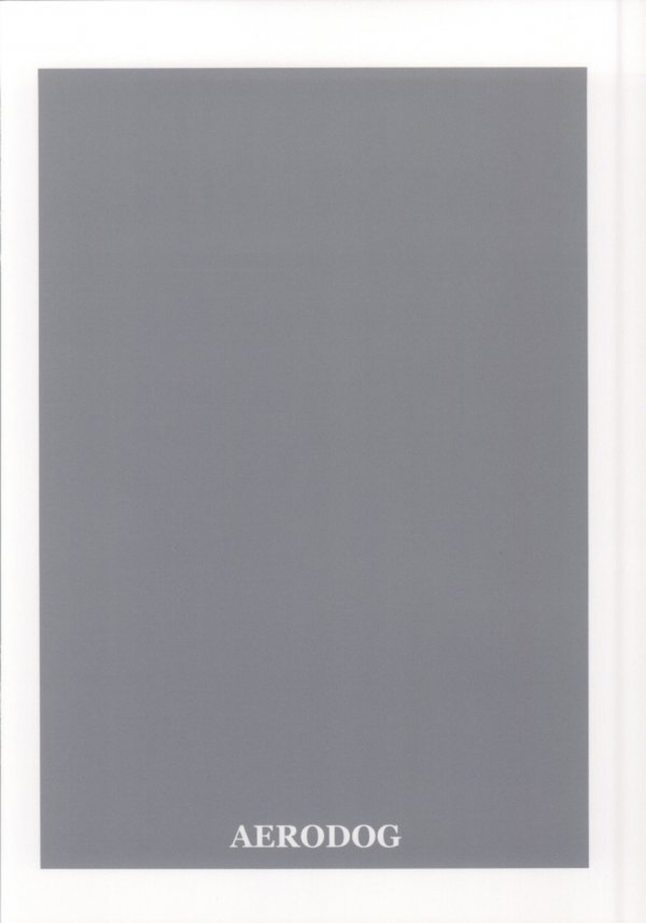 (サンクリ65) [AERODOG (inu)] RITSUKO PLAY 765 SCHOOL JERSEY (アイドルマスター)