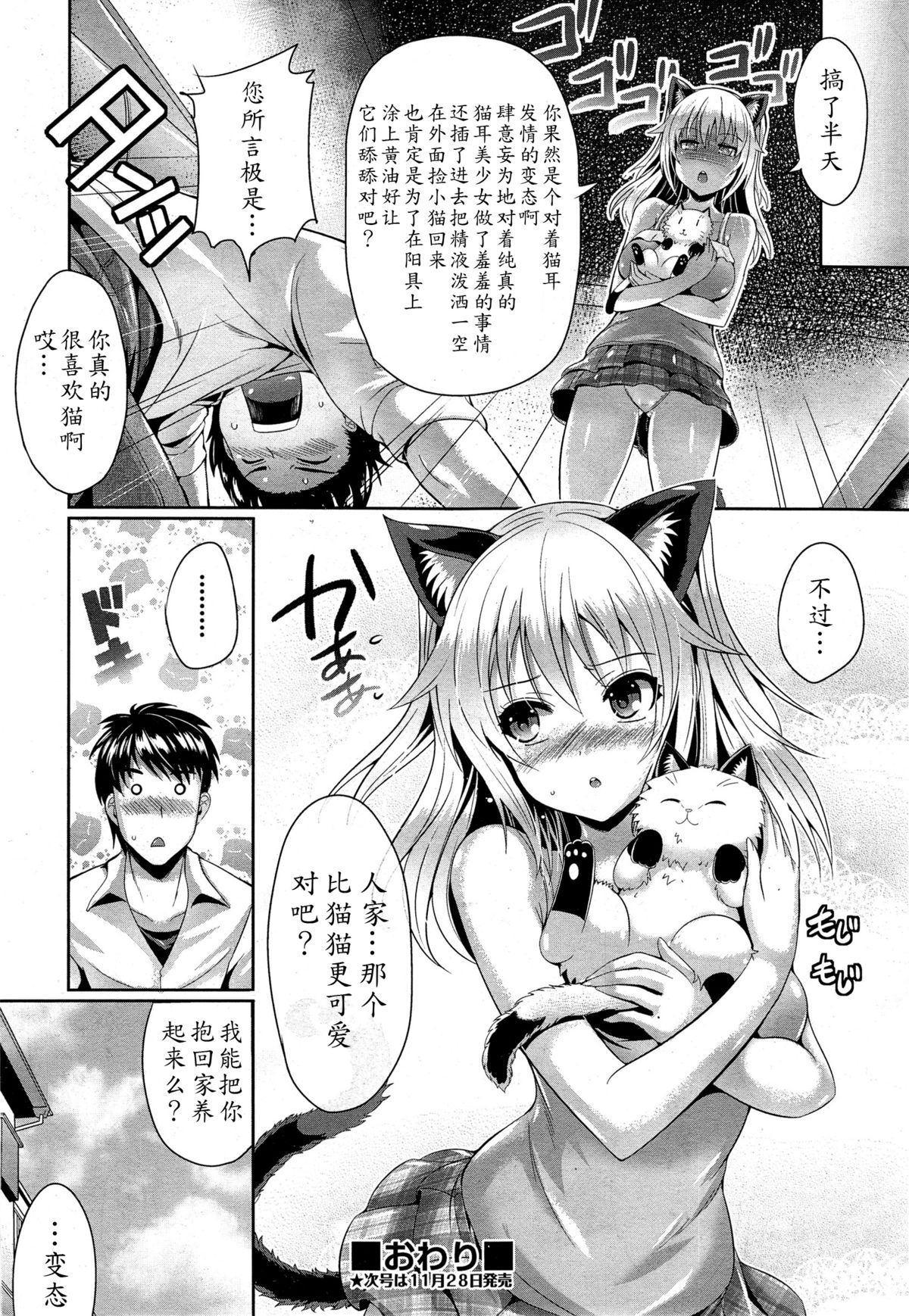 [猫伊光] 猫.可愛いでしょ (COMIC 阿吽 2014年12月号) [中国翻訳]