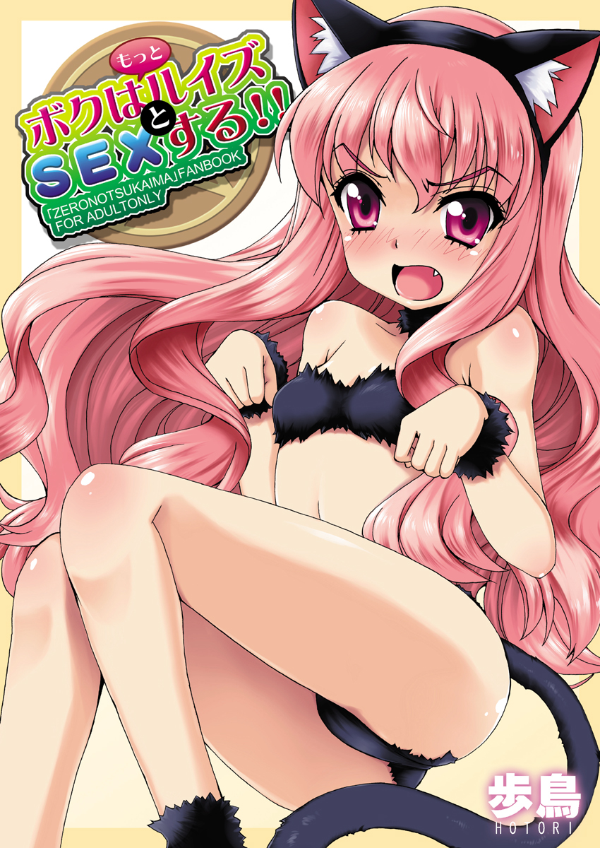 [SION (歩鳥)] ボクはルイズとSEXする!!+ (ゼロの使い魔) [DL版]