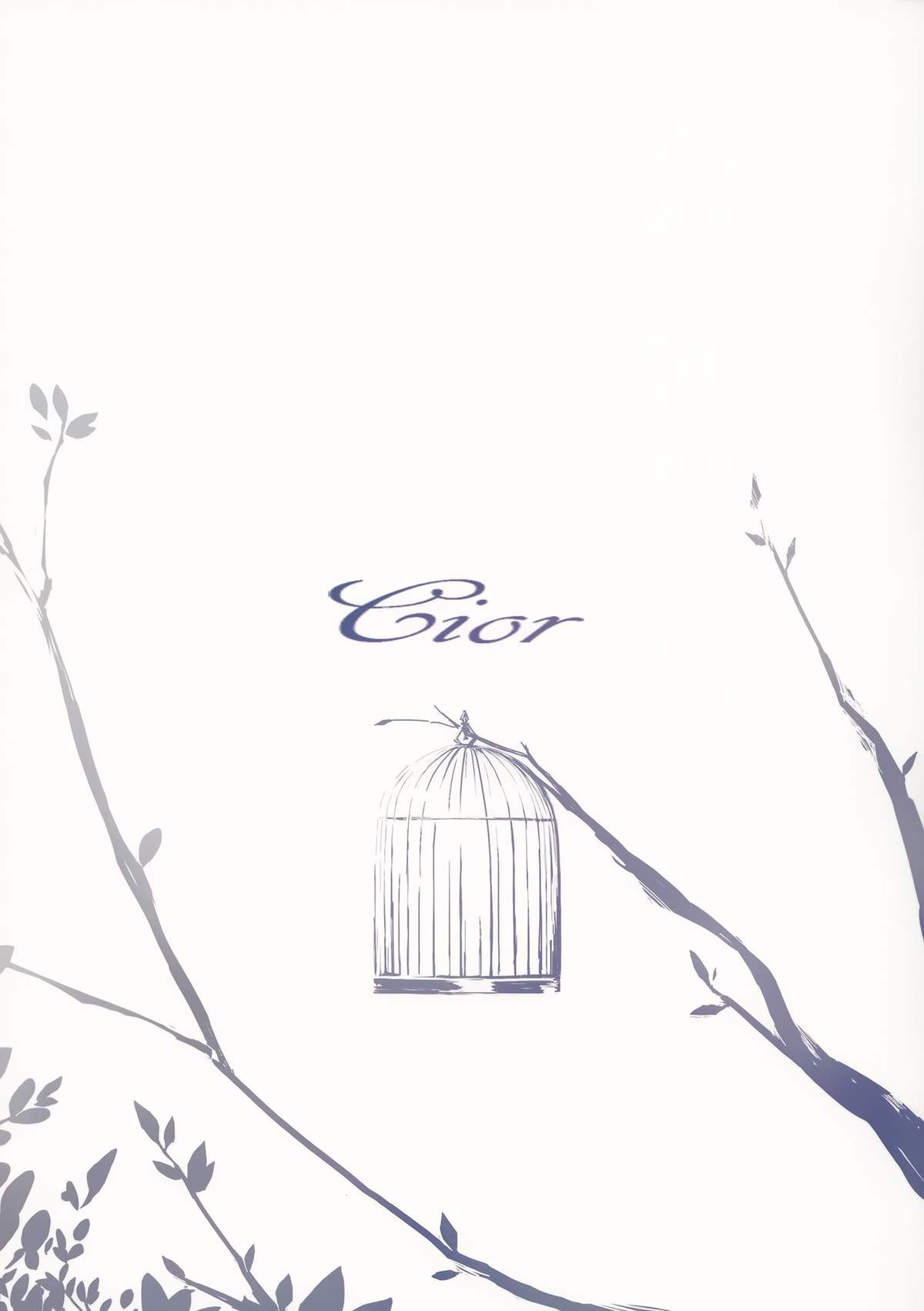 (こみトレ24) [Cior (ken-1)] あすなま (ソードアート・オンライン) [中国翻訳]