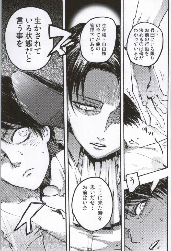 (C86) [おんじれ (たみー)] ONGRE2013 (進撃の巨人)