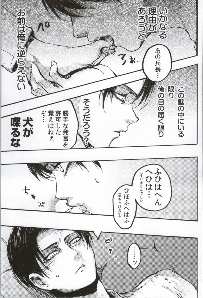 (C86) [おんじれ (たみー)] ONGRE2013 (進撃の巨人)