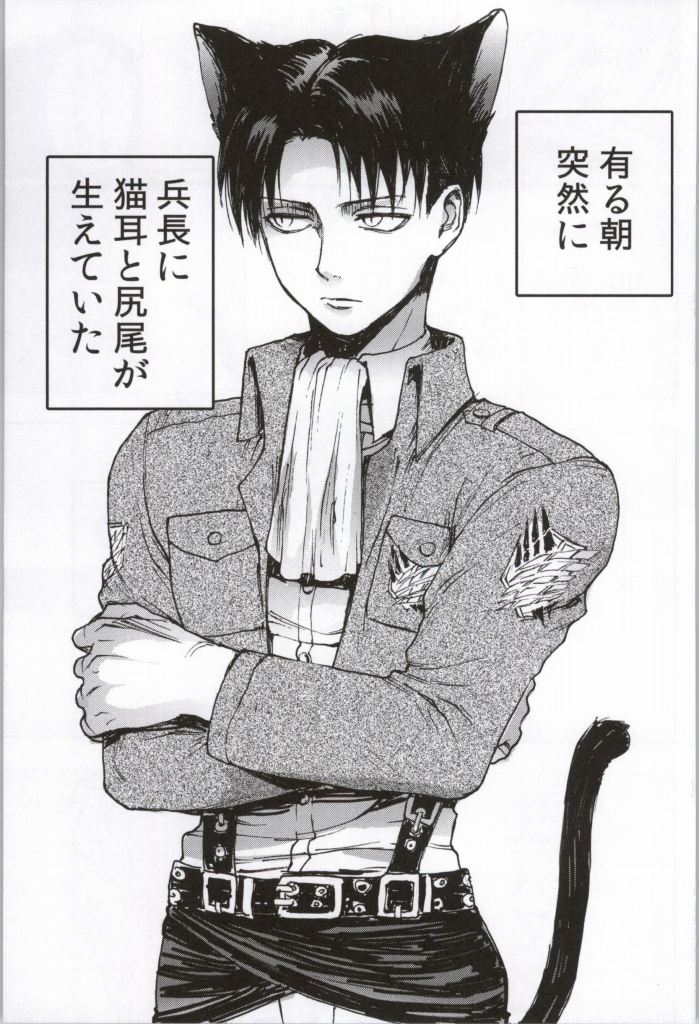 (C86) [おんじれ (たみー)] ONGRE2013 (進撃の巨人)