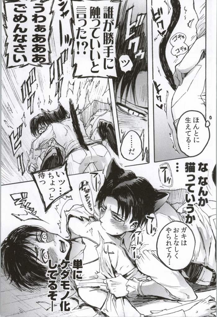 (C86) [おんじれ (たみー)] ONGRE2013 (進撃の巨人)