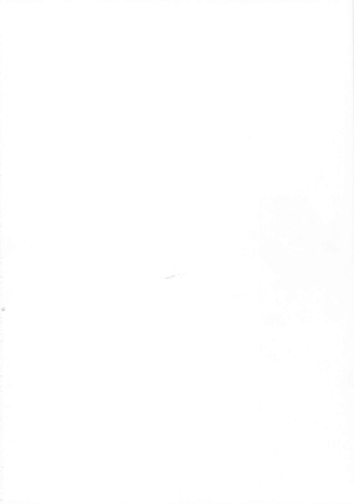 [3 colors cat (みけ田みい吉)] BRILLI PRETTY (甘城ブリリアントパーク)