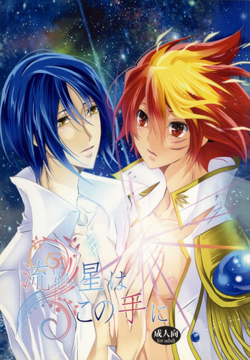 (SUPER20) [恋舞EXE (すぶた)] 流れ星はこの手に (STAR DRIVER 輝きのタクト)