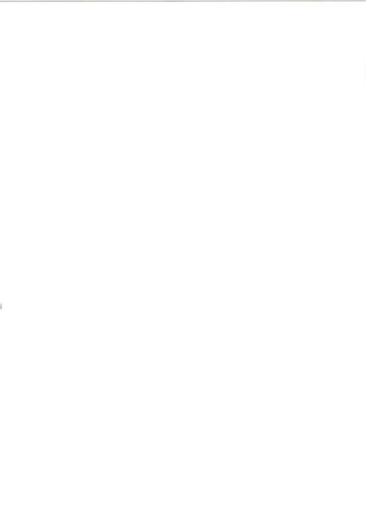 (例大祭11) [テクノブレイク依存症 (てくの)] 百合破滅の園 (東方Project)