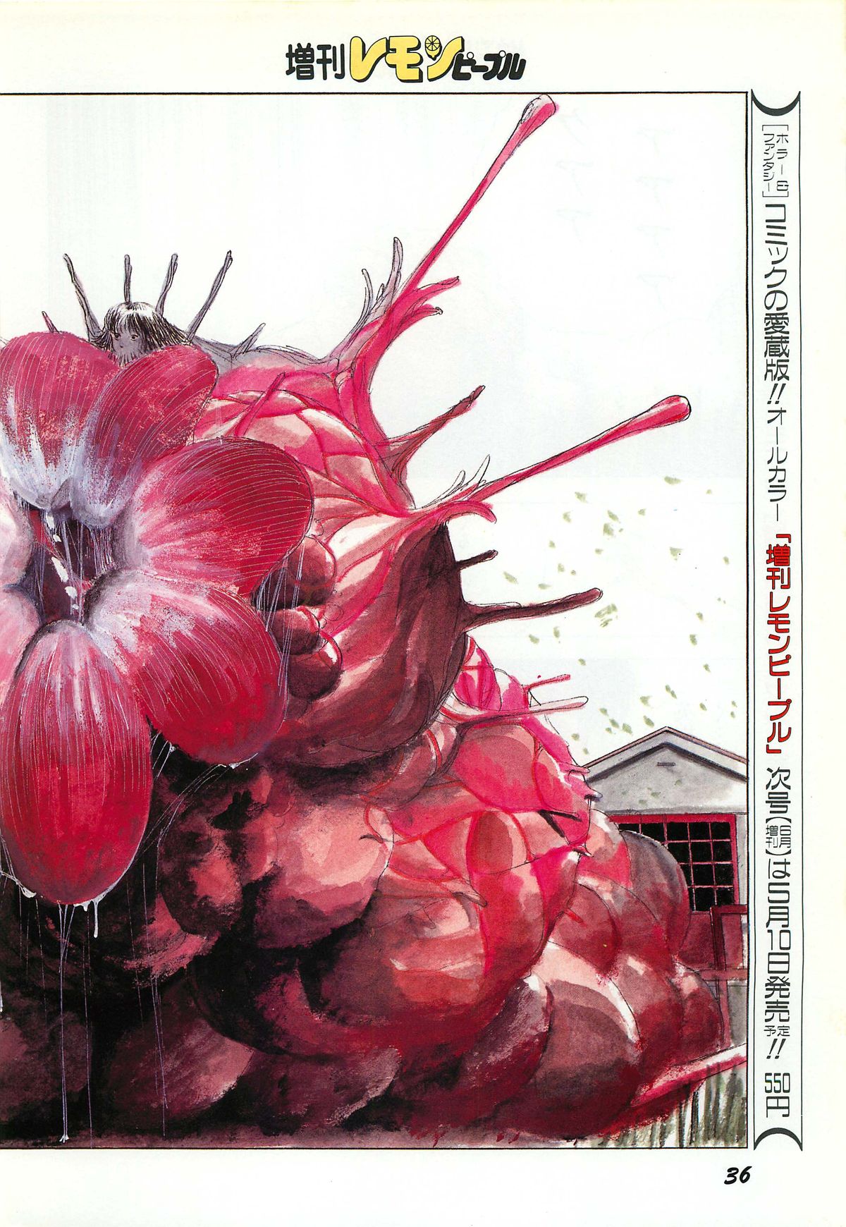 レモンピープル 1987年3月増刊号 Vol.70 オールカラー