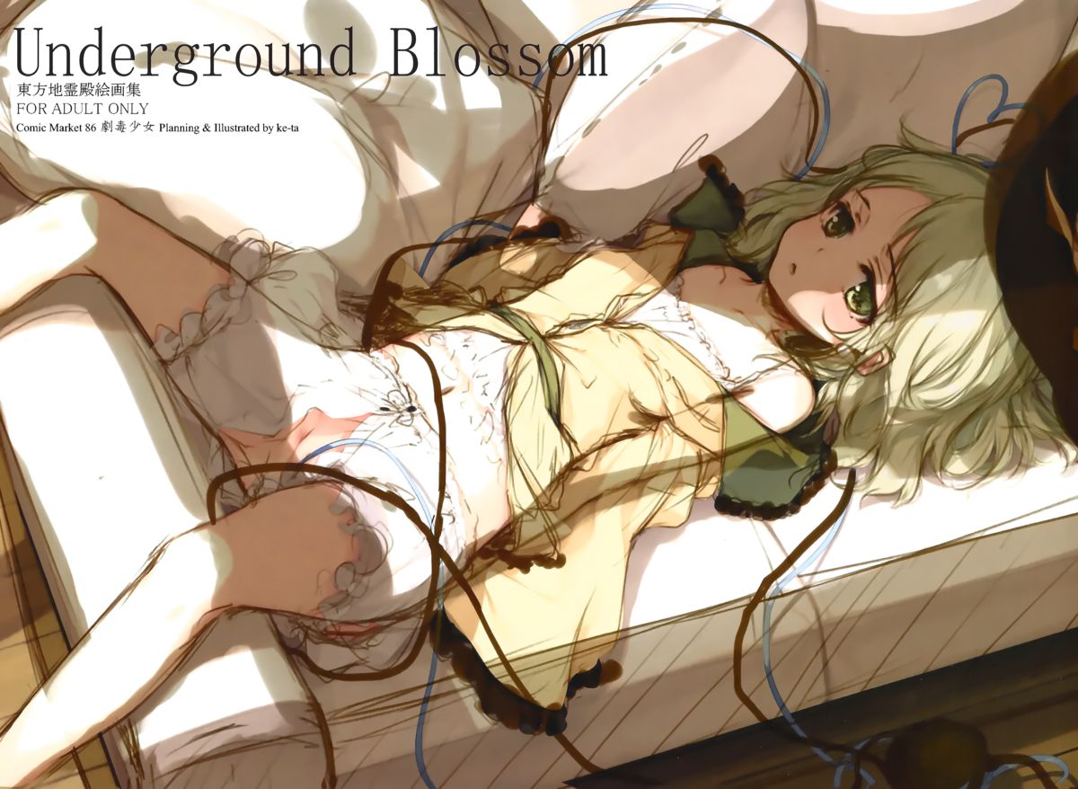 (C86) [劇毒少女 (ke-ta)] Underground Blossom (東方Project)
