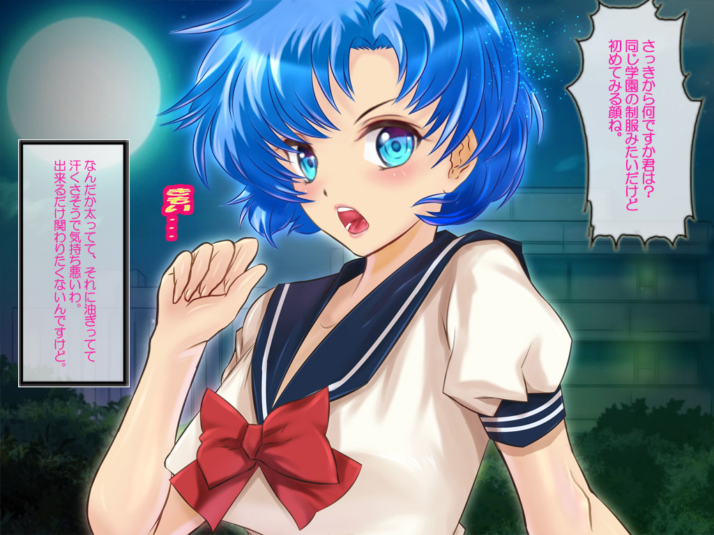 [Arion Canvas]セーラ●戦士夏祭り版 (美少女戦士セーラームーン)