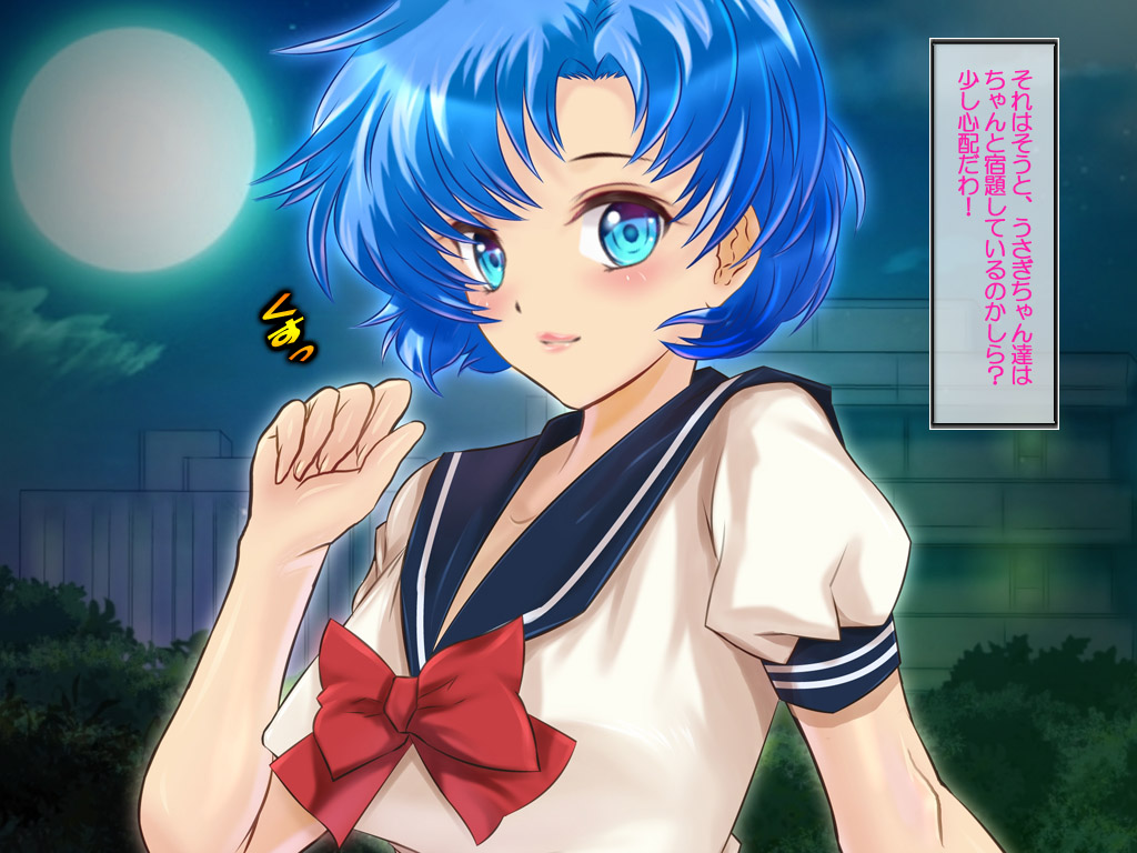 [Arion Canvas]セーラ●戦士夏祭り版 (美少女戦士セーラームーン)