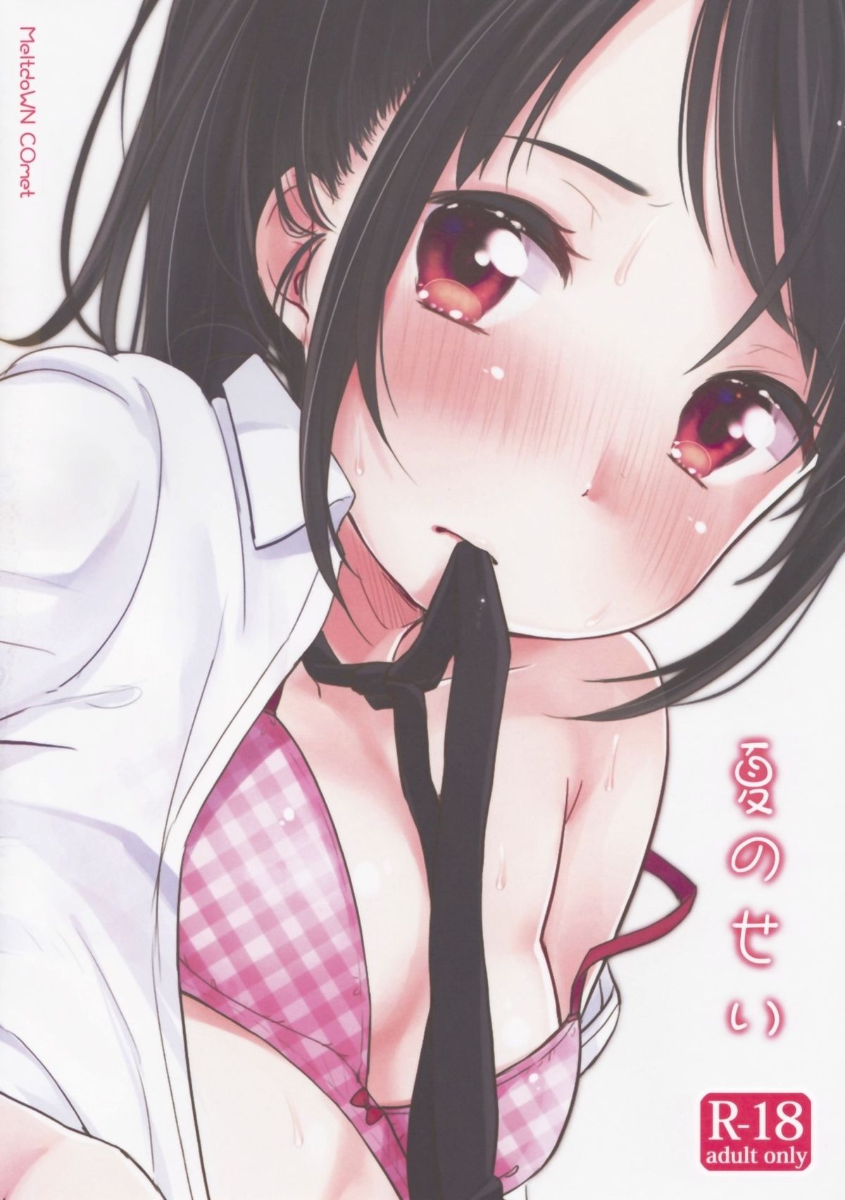 (C86) [MeltdoWN COmet (雪雨こん)] 夏のせい