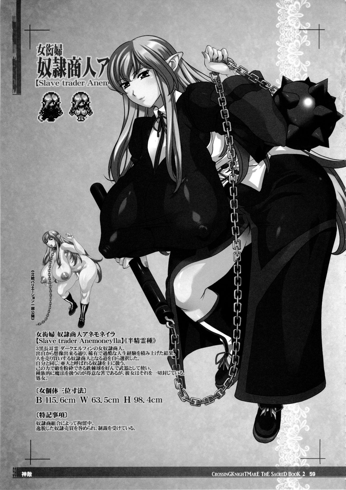 (C86) [KI-SofTWarE (よろず)] CrossinG KnighTMarE ThE SacreD BooK2