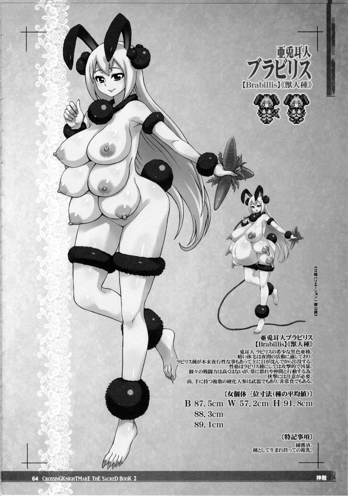 (C86) [KI-SofTWarE (よろず)] CrossinG KnighTMarE ThE SacreD BooK2