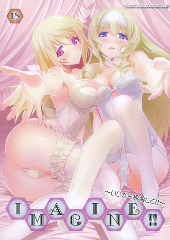 (COMIC1☆8) [Bloody Okojo (モジャコ、きゃびあ)] IMAGINE!!～いいから想像して!!～(IS＜インフィニット・ストラトス＞)