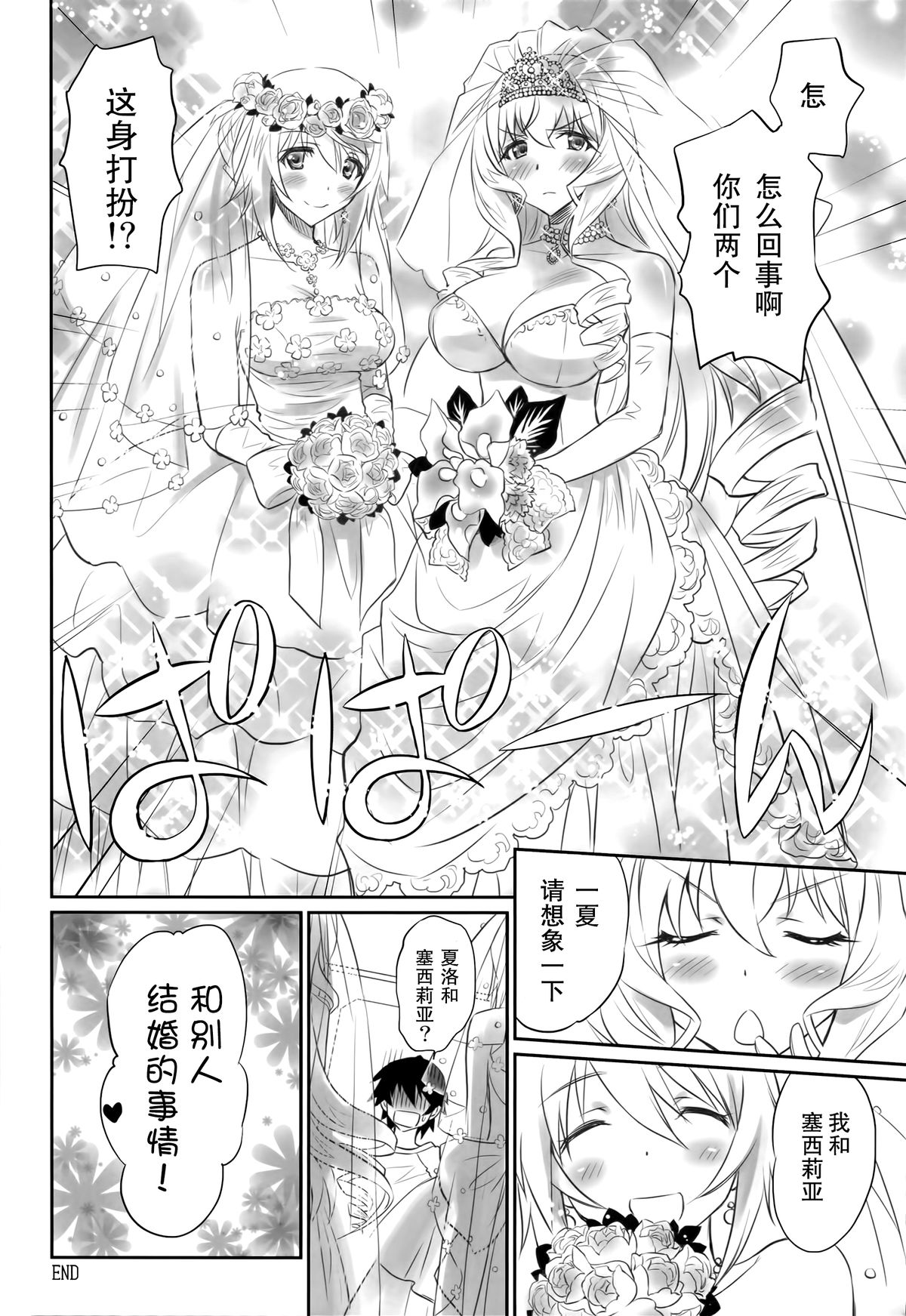 (COMIC1☆8) [Bloody Okojo (芥川まんぼう)] IMAGINE!!～いいから想像して!!～(IS＜インフィニット・ストラトス＞) [无毒汉化组]