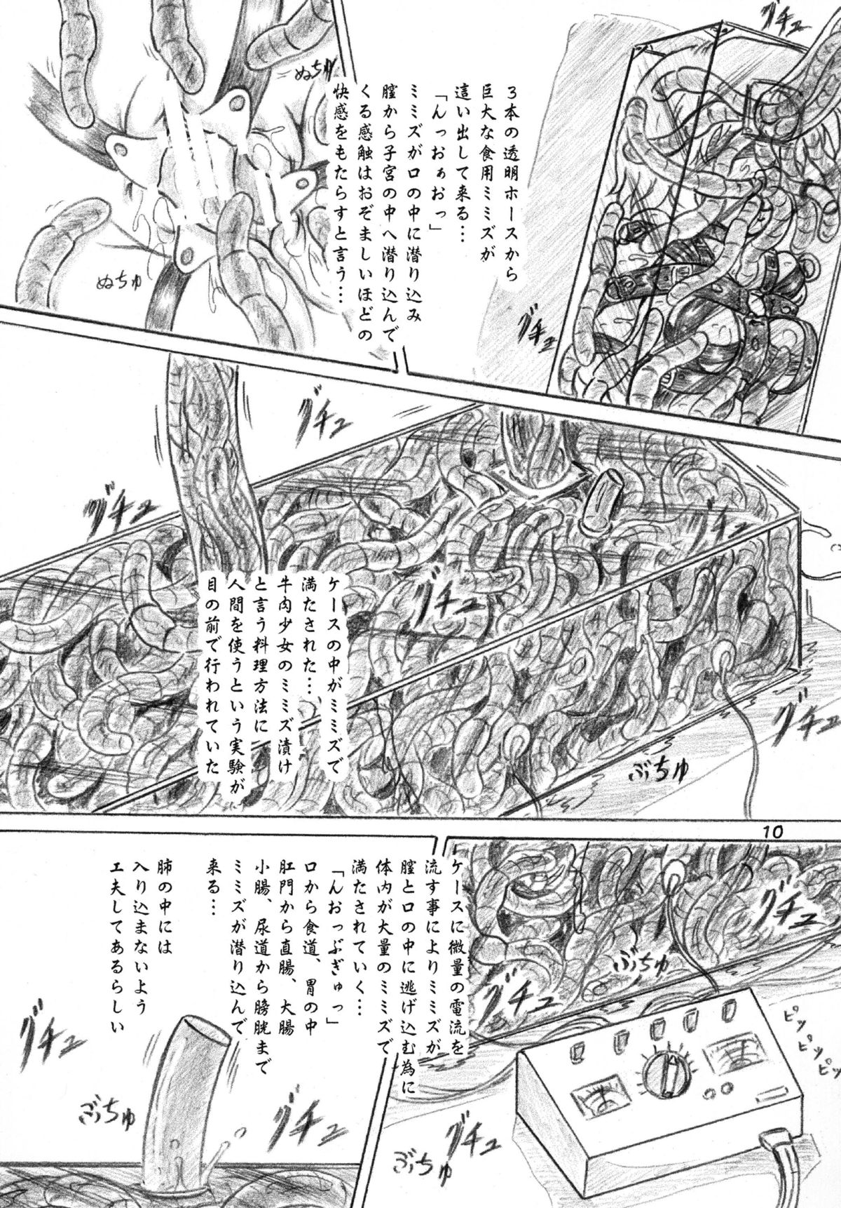 [すもも堂] 生物倶楽部、おまけコピー本2冊付 [DL版]