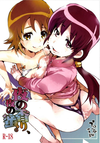 [ブロンコ一人旅 (内々けやき)] 夜の香り、夜の蜜。 (ハピネスチャージプリキュア！) [DL版]