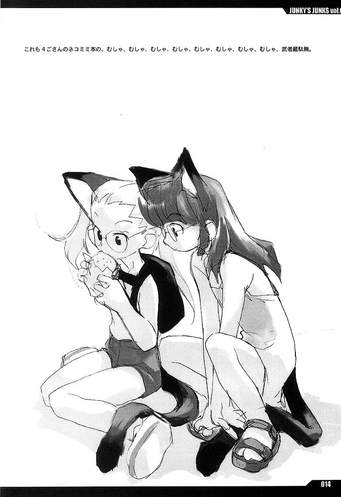 (C61) [PEACE MAKER (E=MC2)] JUNKY'S JUNKS vol.6