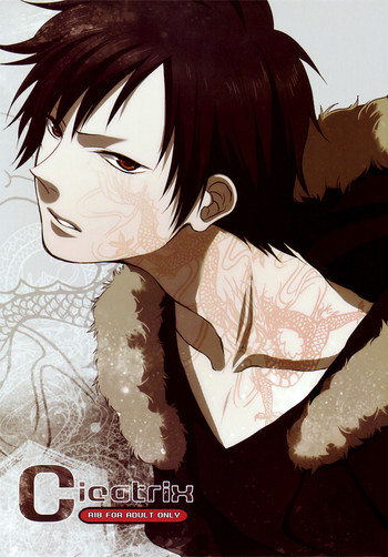 (GOOD COMIC CITY 17) [EARTHEATER (ドリナ)] Cicatrix (デュラララ!!) [英訳]