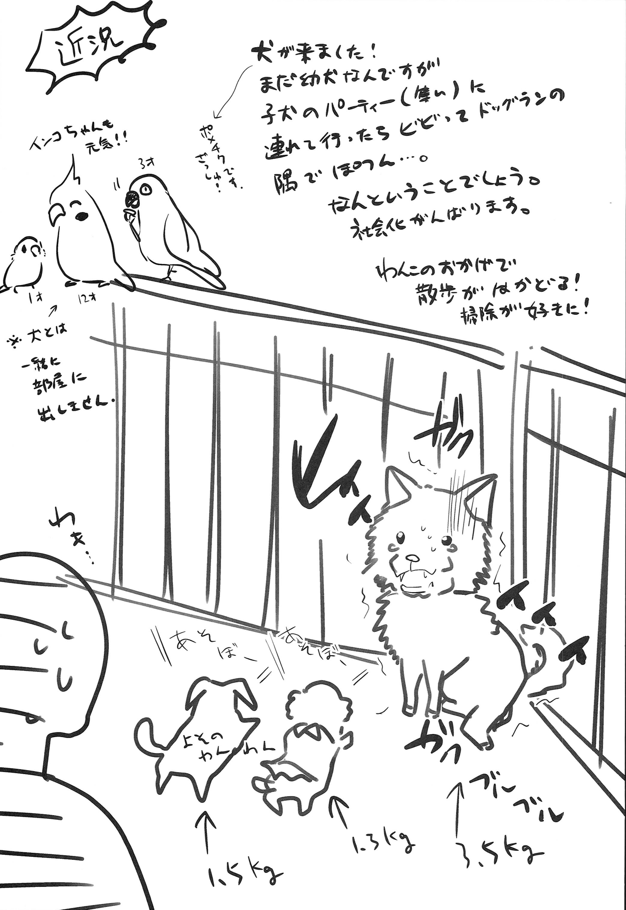 (COMIC1☆8) [chocolate Lv.5 (ダイナマイトmoca)] マッチ売りの男の娘とキメセク!