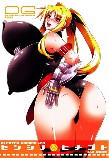 （C77）[HGH（HGチャガワ）]プリーツガンナー＃20戦士のひめゴト（パート2）（魔法少女リリカルなのは）[英語] [_ ragdoll]