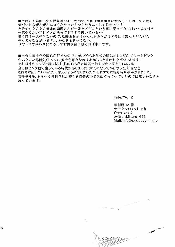 (SPARK8) [めっちょり (みつる)] fate/wolf2 (Fate/Zero)