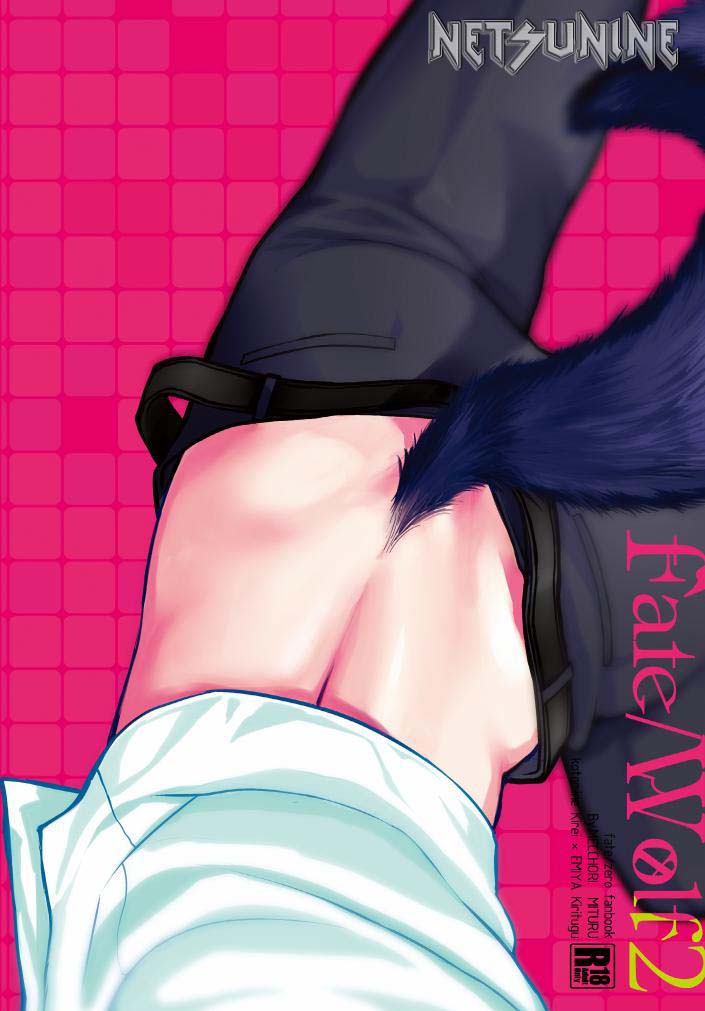 (SPARK8) [めっちょり (みつる)] fate/wolf2 (Fate/Zero)