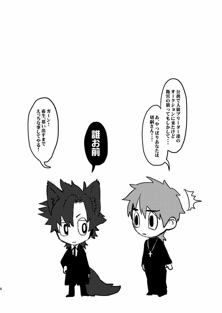 (SPARK8) [めっちょり (みつる)] fate/wolf2 (Fate/Zero)