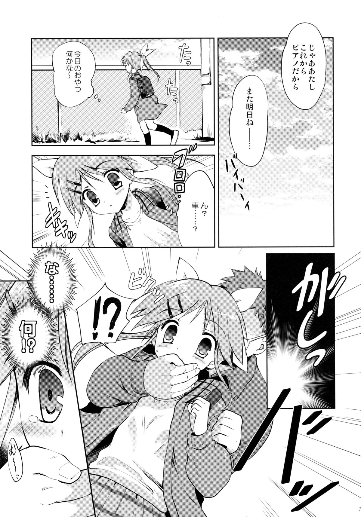 [こりすや (こりす)] LIAR GIRL