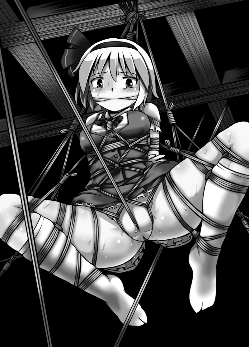 [黒りりの部屋 (lilish)] 不健全むちま縛り (東方Project) [DL版]