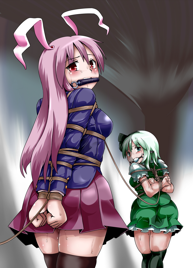 [黒りりの部屋 (lilish)] 不健全むちま縛り (東方Project) [DL版]