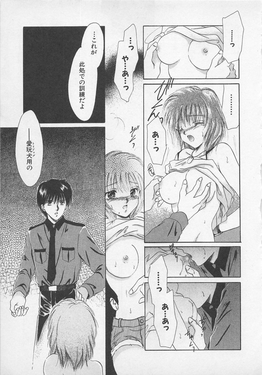 [佐伯由香子] Love Affair