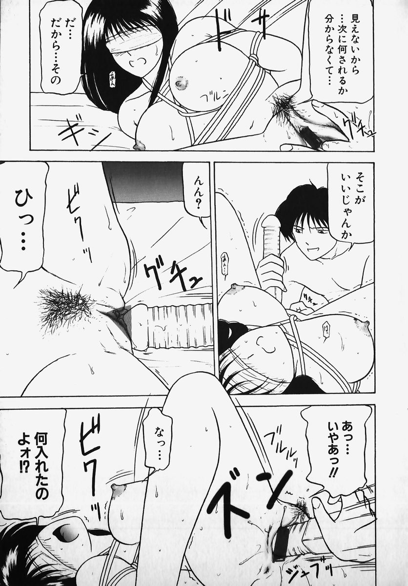 [アンソロジー] SM COMIC 鎖縛 Vol.2