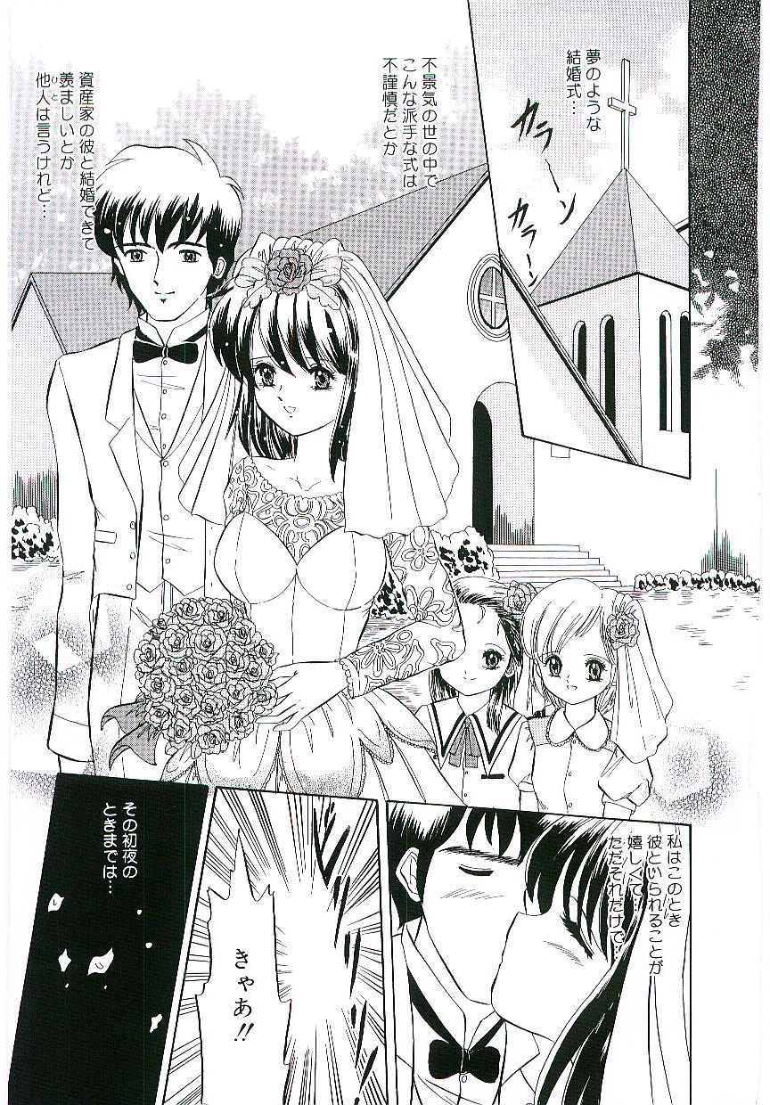 [アンソロジー] 天鵞絨の鞭