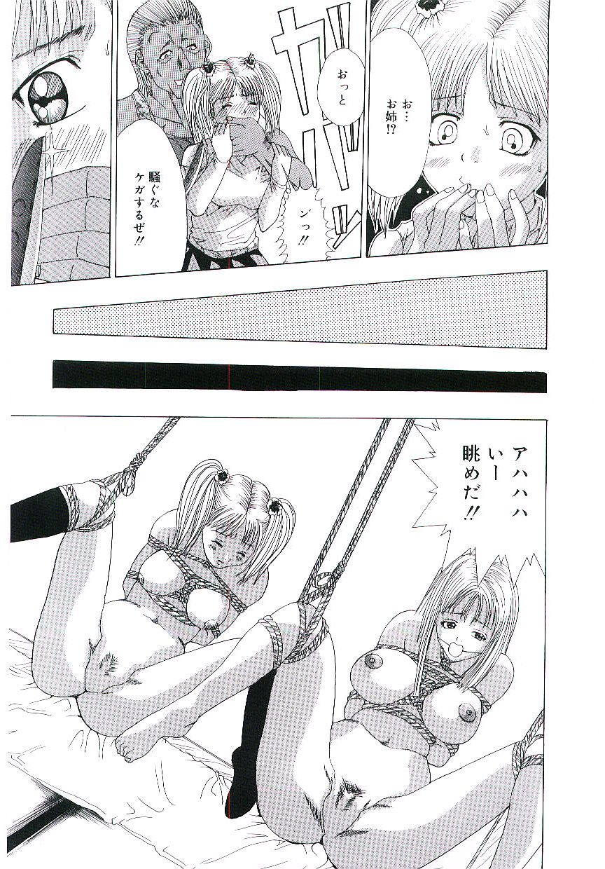 [アンソロジー] 天鵞絨の鞭