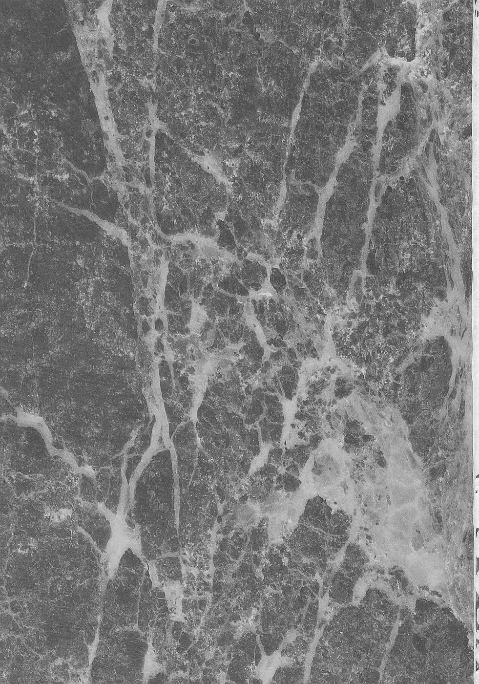 [TSK (風雅うつら)] ff fortissimo. (ファイナルファンタジーXII) [英訳]