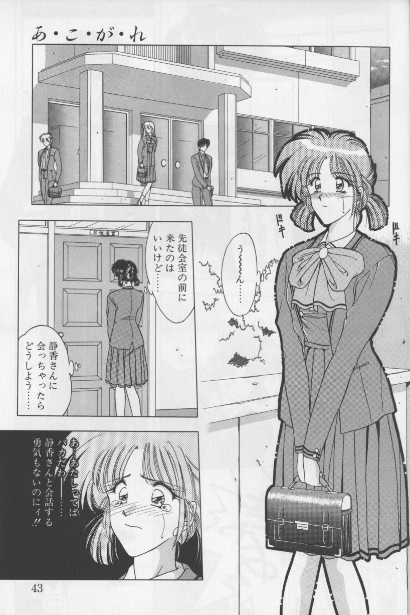 [華瑠羅翔] あ・こ・が・れ -admiration-